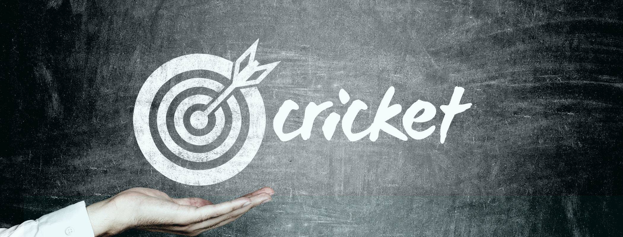 cricket scoring bullseye